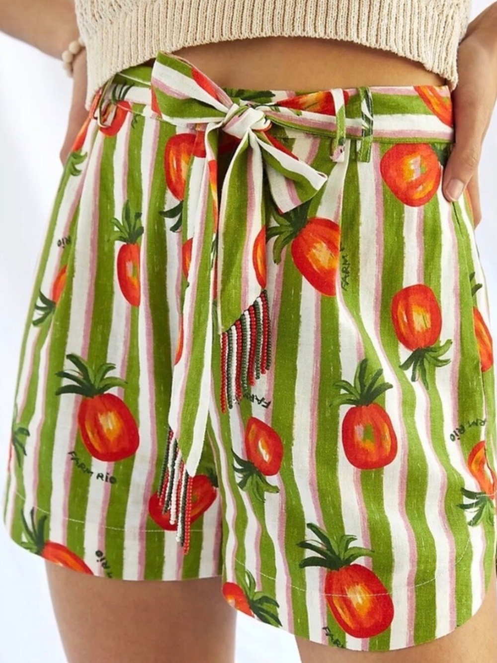 Farm Rio Anthropologie Fresh Picked Shorts Preppy Fruit Striped Women Small NWT